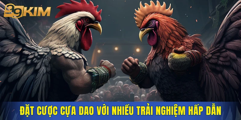 Đặt cược cựa dao với nhiều trải nghiệm hấp dẫn