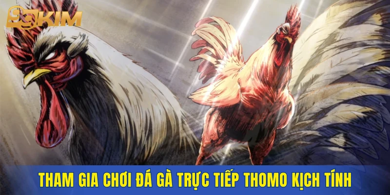 Tham gia chơi đá gà trực tiếp thomo kịch tính